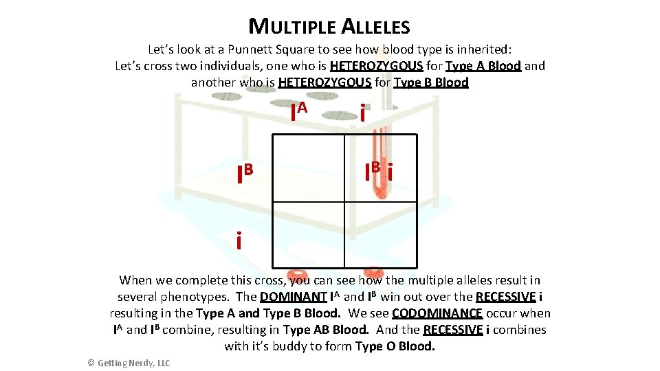 MULTIPLE ALLELES Let’s look at a Punnett Square to see how blood type is