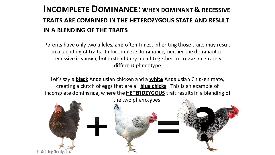 INCOMPLETE DOMINANCE: WHEN DOMINANT & RECESSIVE TRAITS ARE COMBINED IN THE HETEROZYGOUS STATE AND