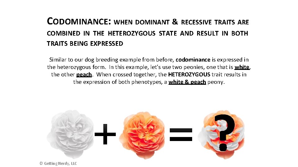 CODOMINANCE: WHEN DOMINANT & RECESSIVE TRAITS ARE COMBINED IN THE HETEROZYGOUS STATE AND RESULT
