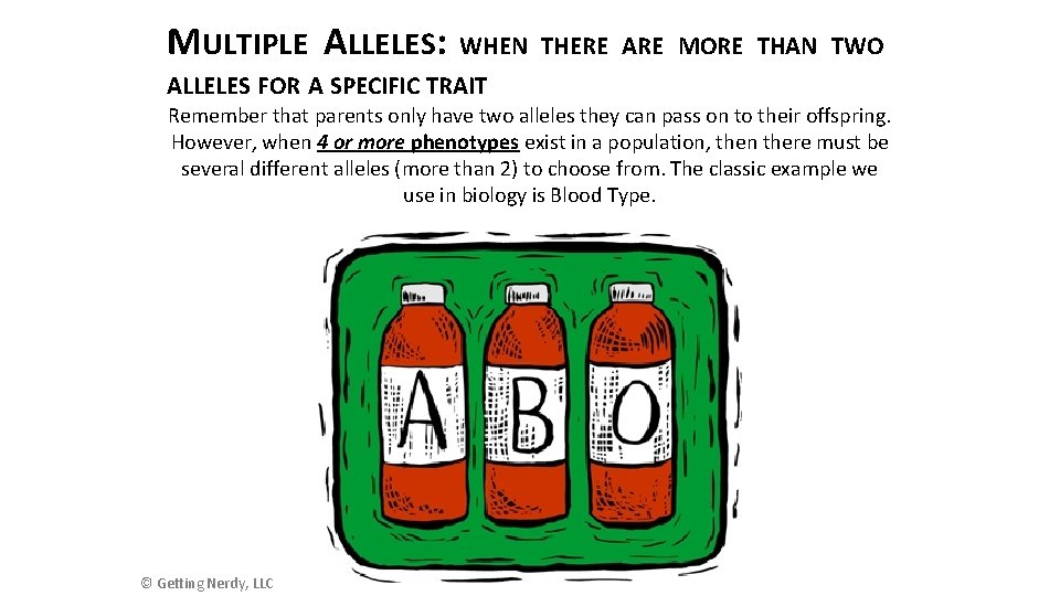 MULTIPLE ALLELES: WHEN THERE ARE MORE THAN TWO ALLELES FOR A SPECIFIC TRAIT Remember