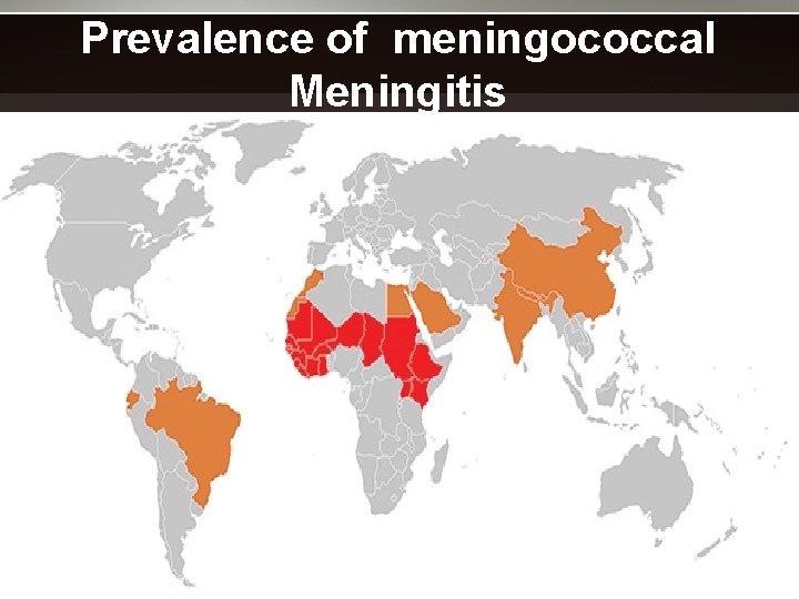 Prevalence of meningococcal Meningitis 