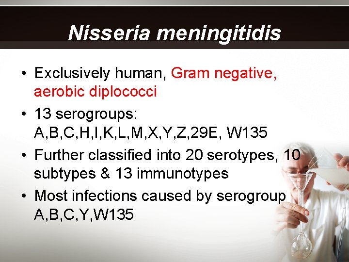 Nisseria meningitidis • Exclusively human, Gram negative, aerobic diplococci • 13 serogroups: A, B,