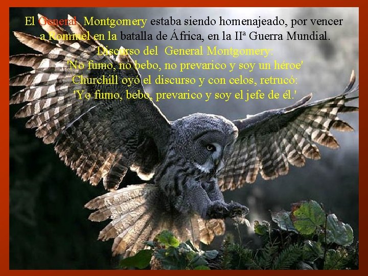 El General Montgomery estaba siendo homenajeado, por vencer a Rommel en la batalla de