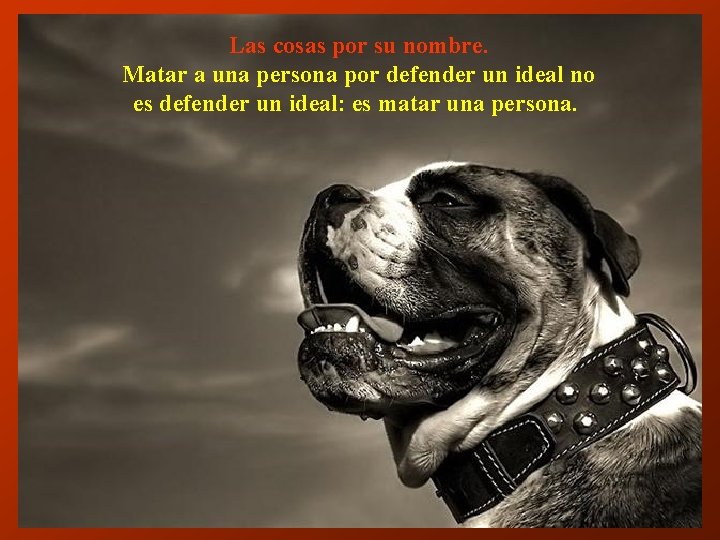 Las cosas por su nombre. Matar a una persona por defender un ideal no