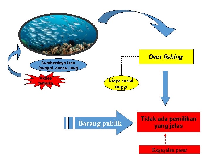 Over fishing Sumberdaya ikan (sungai, danau, laut) Akses terbuka biaya sosial tinggi Barang publik