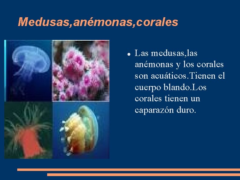 Medusas, anémonas, corales Las medusas, las anémonas y los corales son acuáticos. Tienen el