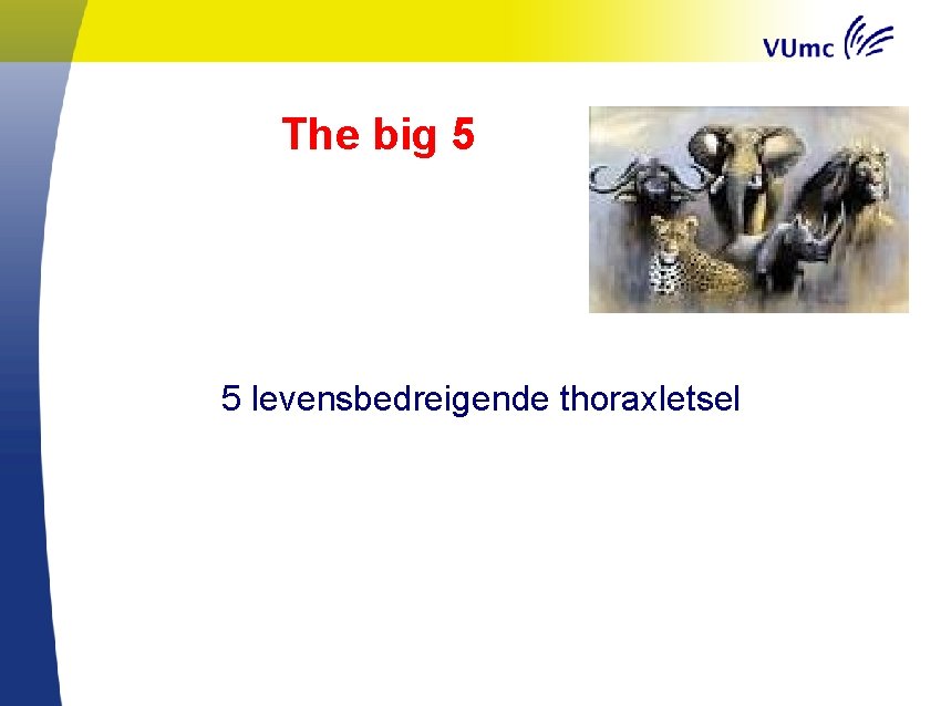 The big 5 5 levensbedreigende thoraxletsel 