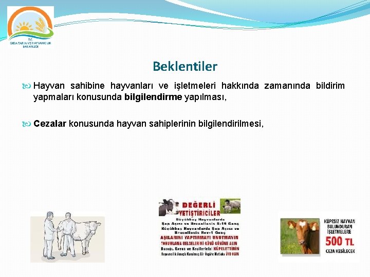 Beklentiler Hayvan sahibine hayvanları ve işletmeleri hakkında zamanında bildirim yapmaları konusunda bilgilendirme yapılması, Cezalar