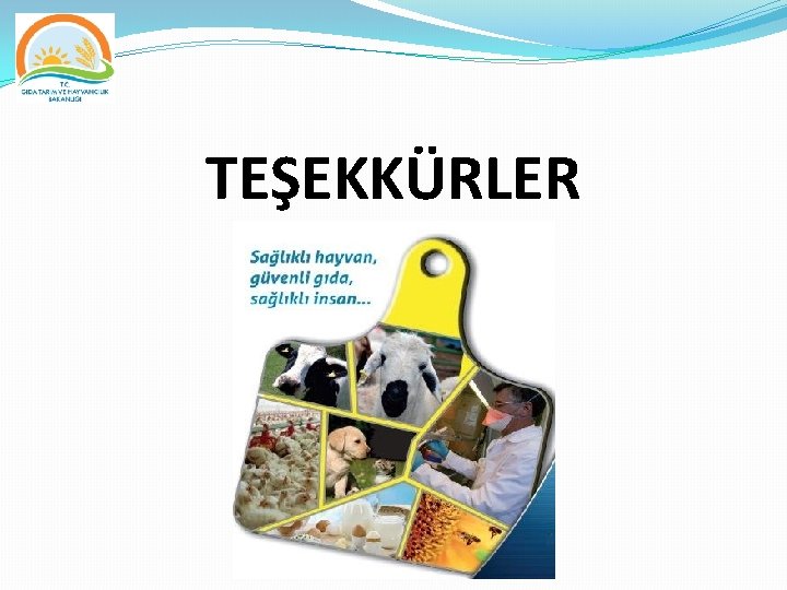 TEŞEKKÜRLER 