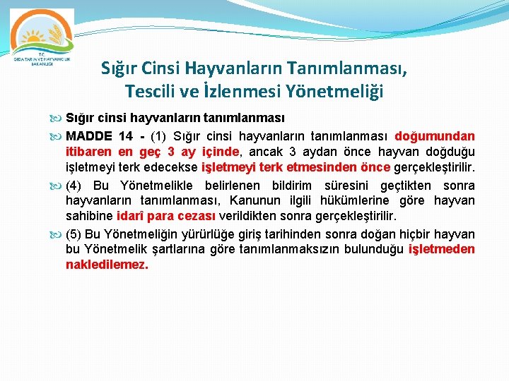 Sığır Cinsi Hayvanların Tanımlanması, Tescili ve İzlenmesi Yönetmeliği Sığır cinsi hayvanların tanımlanması MADDE 14