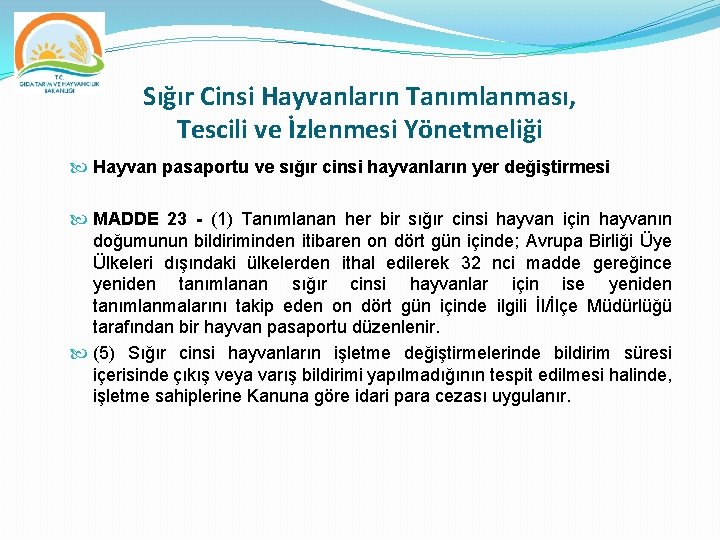 Sığır Cinsi Hayvanların Tanımlanması, Tescili ve İzlenmesi Yönetmeliği Hayvan pasaportu ve sığır cinsi hayvanların