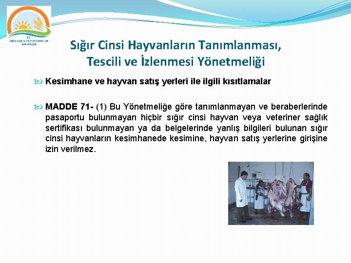 Sığır Cinsi Hayvanların Tanımlanması, Tescili ve İzlenmesi Yönetmeliği Kesimhane ve hayvan satış yerleri ile