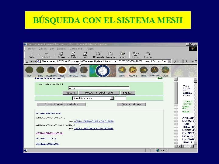 BÚSQUEDA CON EL SISTEMA MESH 