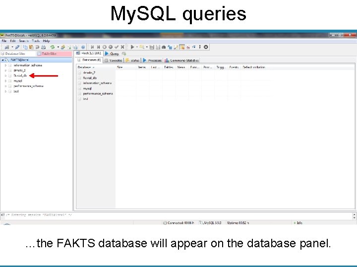 My. SQL queries …the FAKTS database will appear on the database panel. 