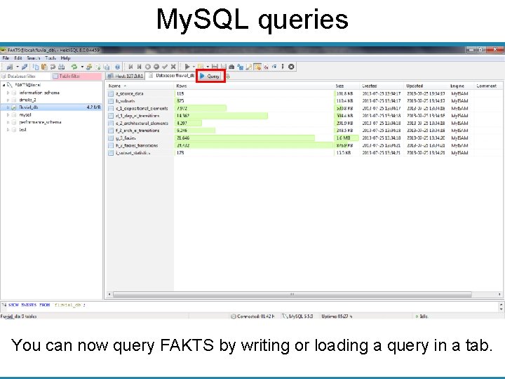 My. SQL queries You can now query FAKTS by writing or loading a query