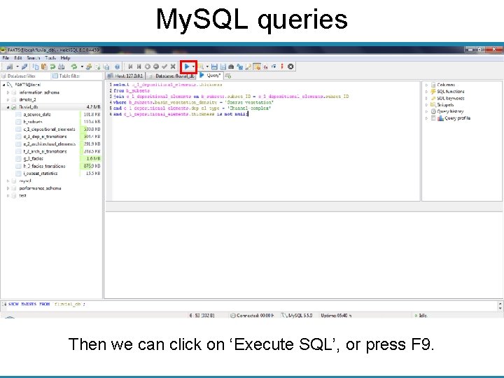 My. SQL queries Then we can click on ‘Execute SQL’, or press F 9.