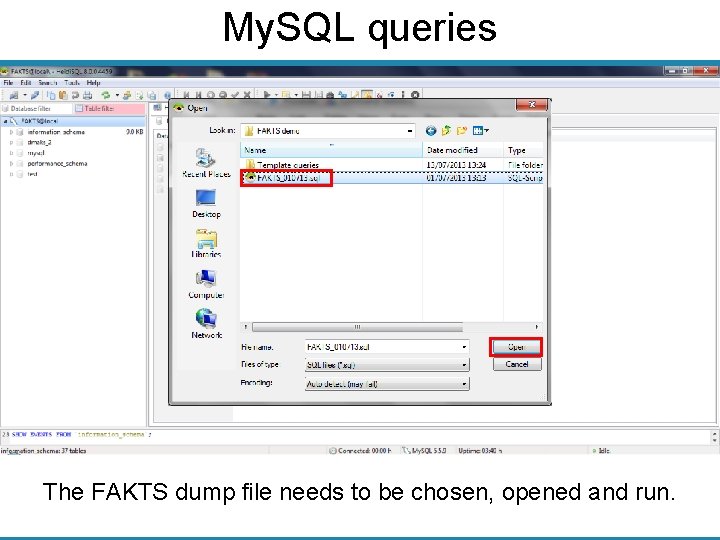My. SQL queries The FAKTS dump file needs to be chosen, opened and run.