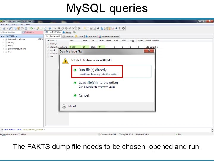 My. SQL queries The FAKTS dump file needs to be chosen, opened and run.