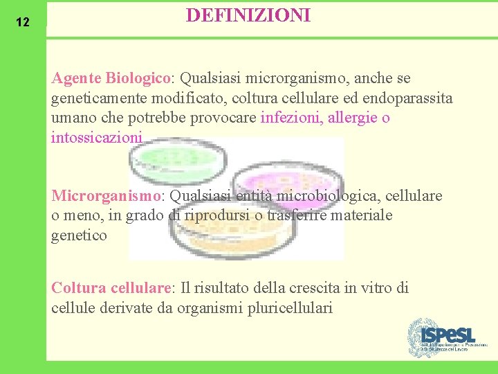 12 DEFINIZIONI Agente Biologico: Qualsiasi microrganismo, anche se geneticamente modificato, coltura cellulare ed endoparassita