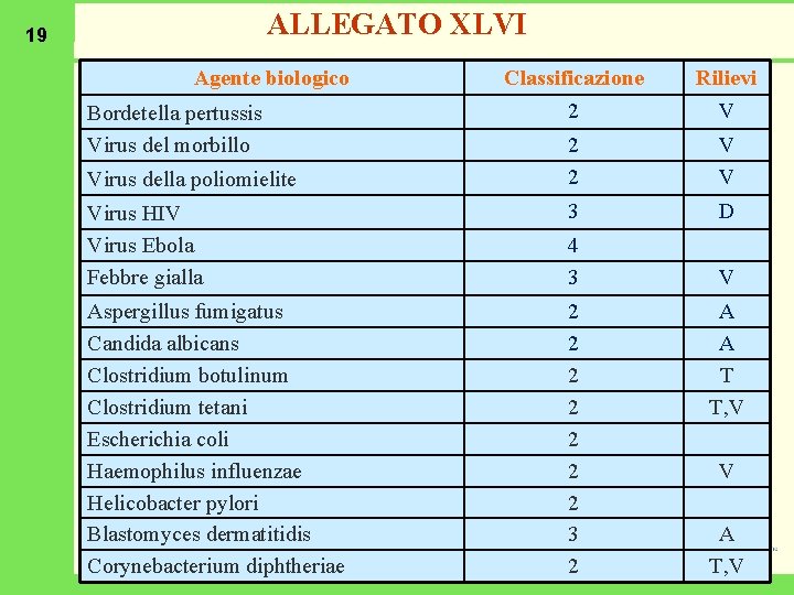 ALLEGATO XLVI 19 Agente biologico Classificazione 2 Rilievi V 2 2 V V Virus