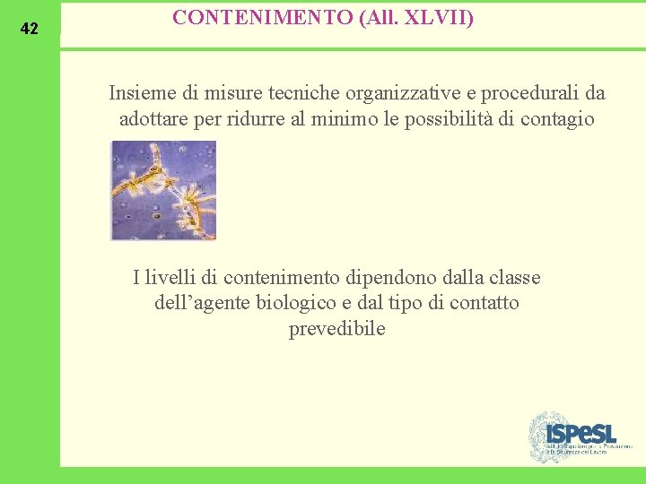 42 CONTENIMENTO (All. XLVII) Insieme di misure tecniche organizzative e procedurali da adottare per