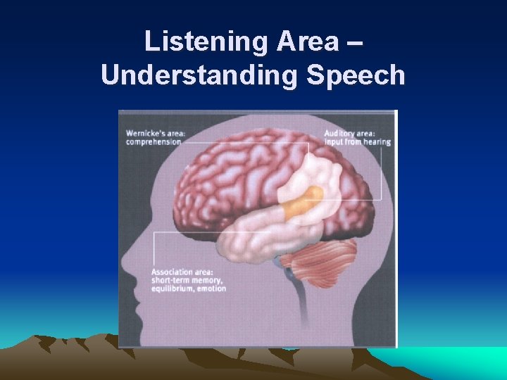 Listening Area – Understanding Speech 