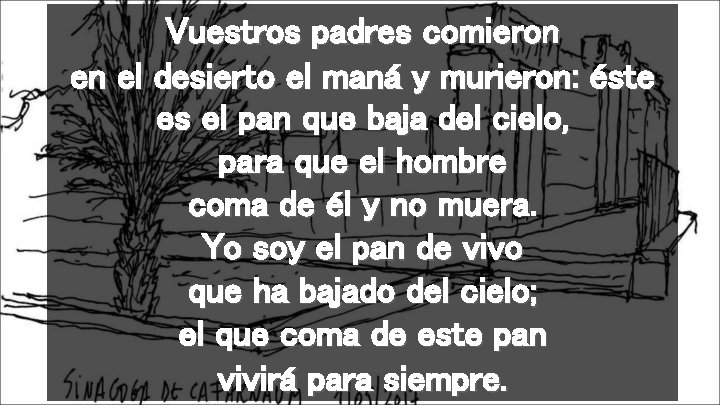 Vuestros padres comieron en el desierto el maná y murieron: éste es el pan