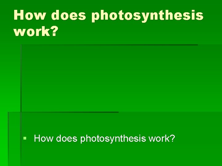 How does photosynthesis work? § How does photosynthesis work? 