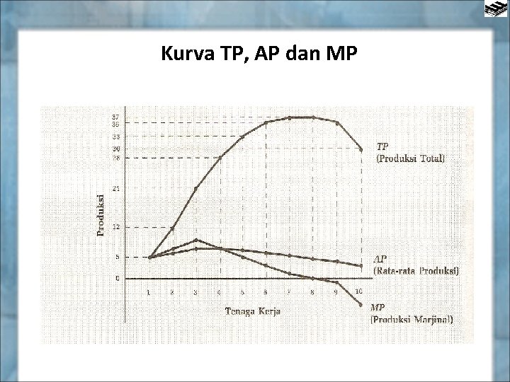 Kurva TP, AP dan MP 