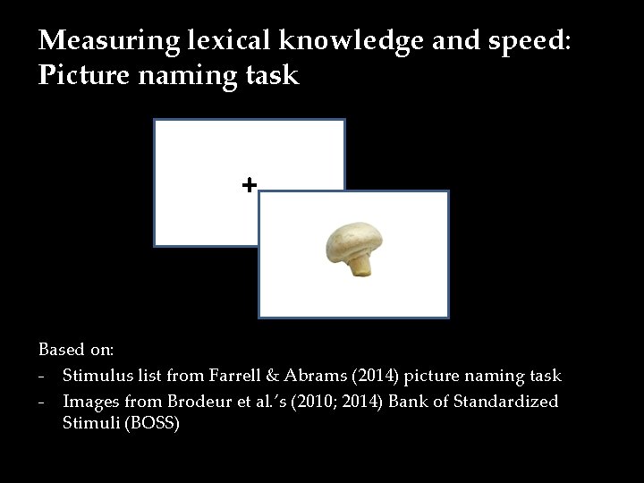 Measuring lexical knowledge and speed: Picture naming task + Based on: - Stimulus list