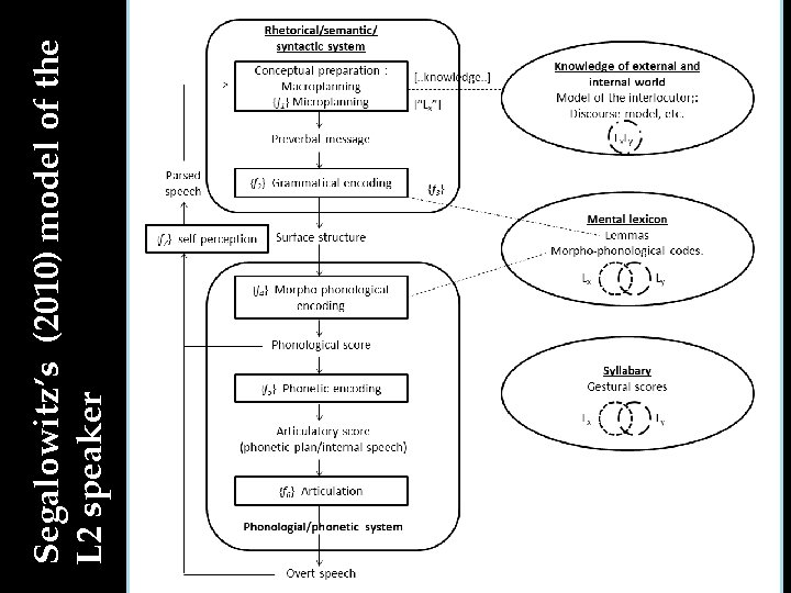 Segalowitz’s (2010) model of the L 2 speaker 