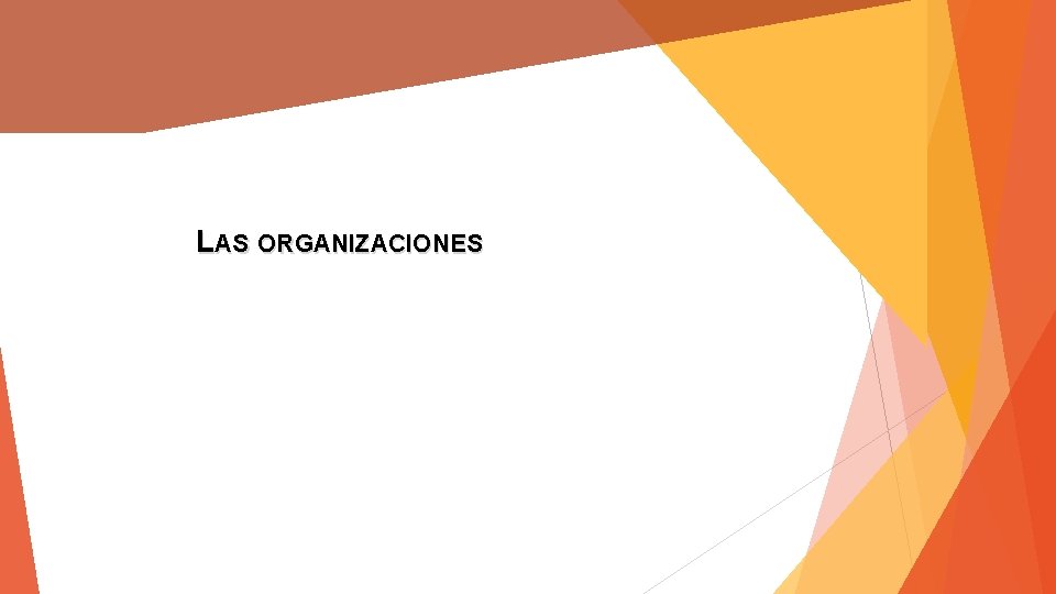 LAS ORGANIZACIONES 