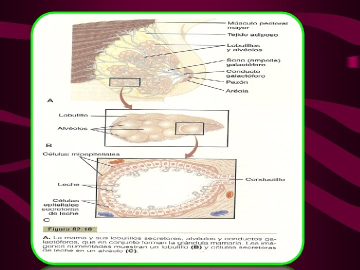 FIG 82 -10 