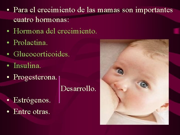  • Para el crecimiento de las mamas son importantes cuatro hormonas: • Hormona