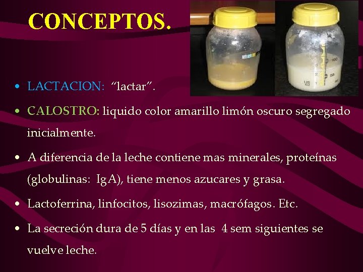 CONCEPTOS. • LACTACION: “lactar”. • CALOSTRO: liquido color amarillo limón oscuro segregado inicialmente. • CONCEPTOS. • LACTACION: “lactar”. • CALOSTRO: liquido color amarillo limón oscuro segregado inicialmente. •