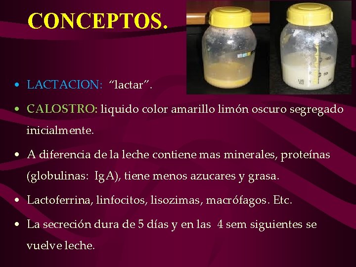 CONCEPTOS. • LACTACION: “lactar”. • CALOSTRO: liquido color amarillo limón oscuro segregado inicialmente. •