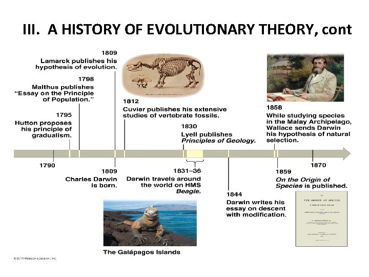 III. A HISTORY OF EVOLUTIONARY THEORY, cont 