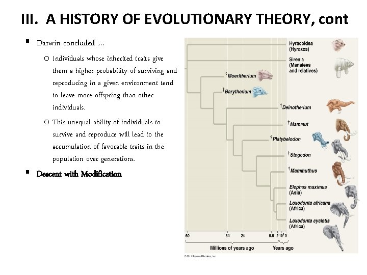 III. A HISTORY OF EVOLUTIONARY THEORY, cont § Darwin concluded … o Individuals whose