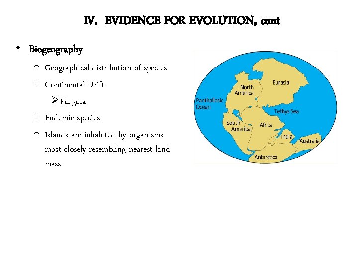 IV. EVIDENCE FOR EVOLUTION, cont • Biogeography o Geographical distribution of species o Continental