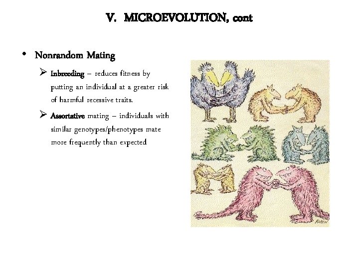 V. MICROEVOLUTION, cont • Nonrandom Mating Ø Inbreeding – reduces fitness by putting an