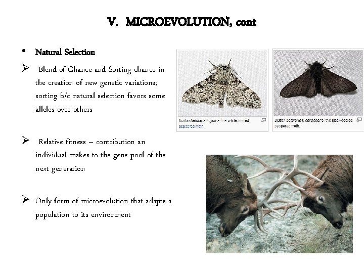 V. MICROEVOLUTION, cont • Natural Selection Ø Blend of Chance and Sorting chance in