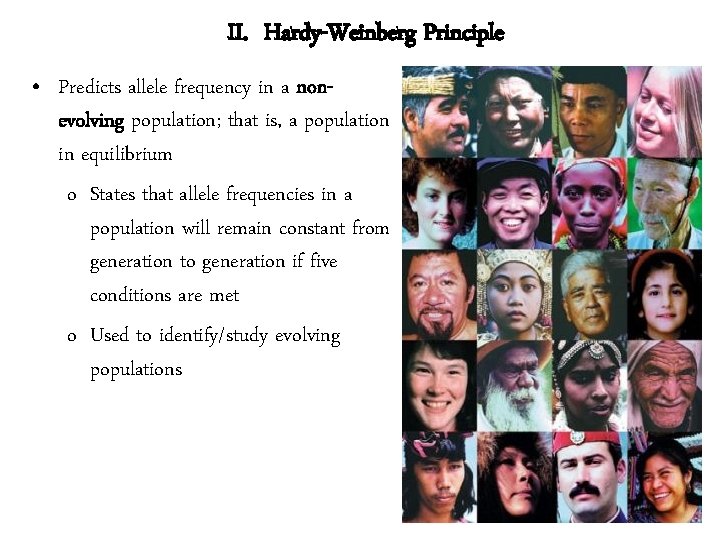 II. Hardy-Weinberg Principle • Predicts allele frequency in a nonevolving population; that is, a