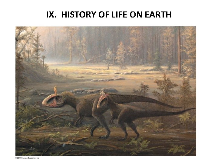 IX. HISTORY OF LIFE ON EARTH 