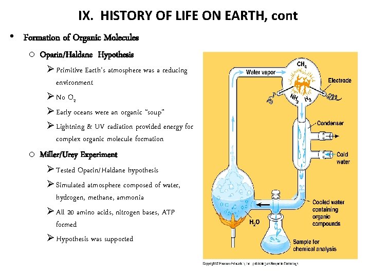IX. HISTORY OF LIFE ON EARTH, cont • Formation of Organic Molecules o Oparin/Haldane