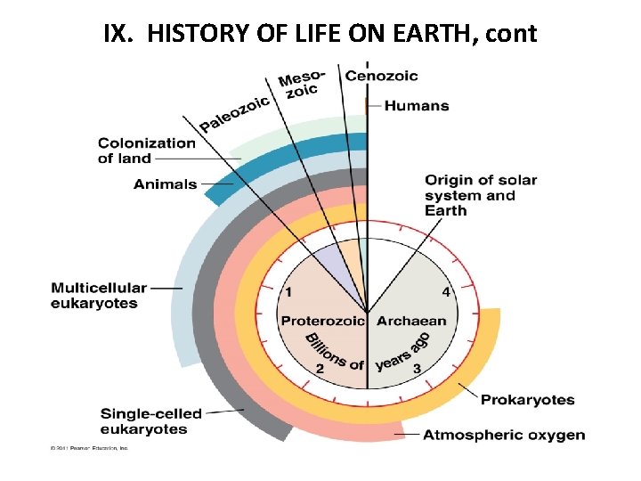 IX. HISTORY OF LIFE ON EARTH, cont 