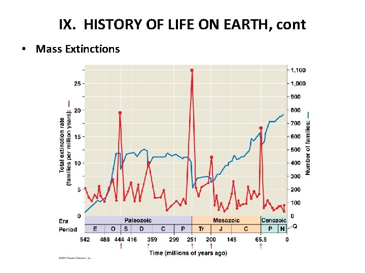 IX. HISTORY OF LIFE ON EARTH, cont • Mass Extinctions 