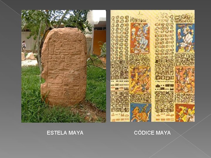 ESTELA MAYA CÓDICE MAYA 