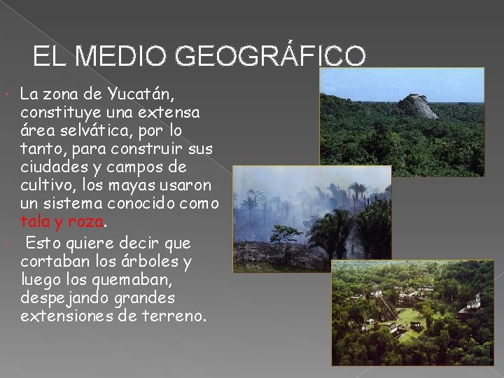 EL MEDIO GEOGRÁFICO La zona de Yucatán, constituye una extensa área selvática, por lo