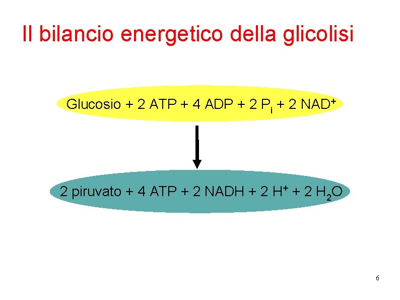 Il bilancio energetico della glicolisi Glucosio + 2 ATP + 4 ADP + 2