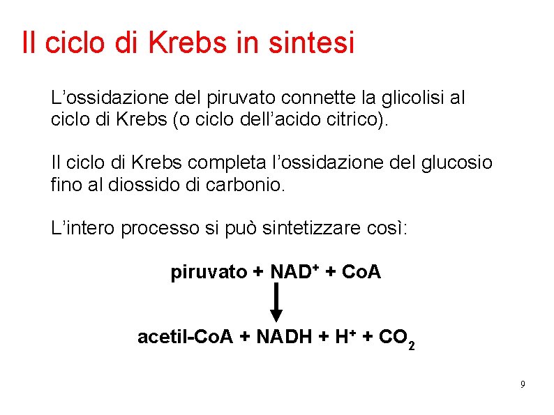 Il ciclo di Krebs in sintesi L’ossidazione del piruvato connette la glicolisi al ciclo